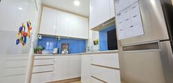 Palm Galleria (D15), Apartment #518297541